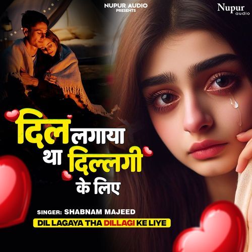 Dil Lagaya Tha Dillagi Ke Liye Shabnam Majeed MP3 Download